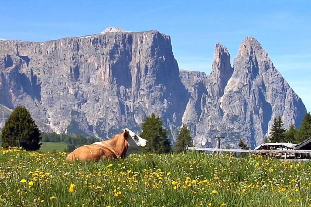 Fantastico Monolocale In Siusi Sciliar Apartment Bagian luar foto