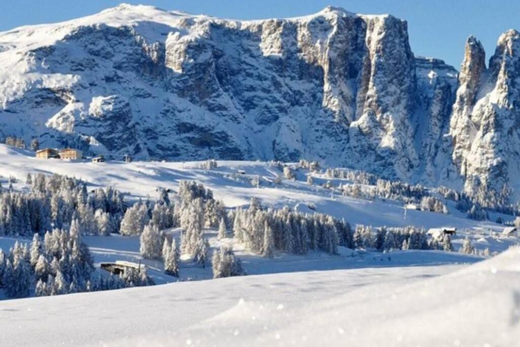 Fantastico Monolocale In Siusi Sciliar Apartment Bagian luar foto